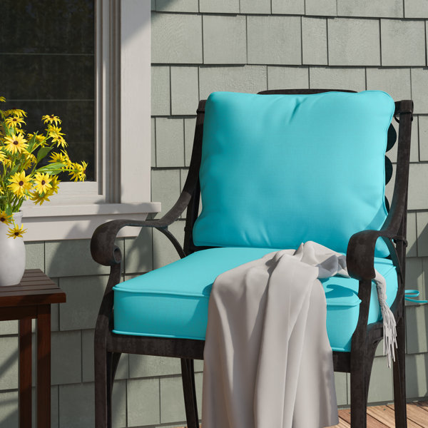 Andover Mills™ Sarver Indoor/Outdoor Seat/Back Cushion & Reviews Wayfair